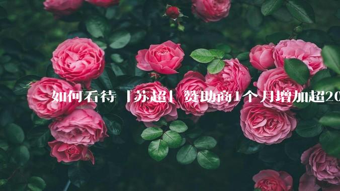 如何看待「苏超」赞助商1个月增加超200%，达到中超2倍？
