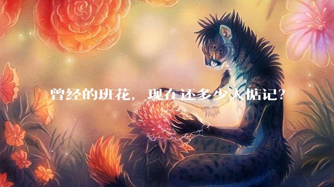 曾经的班花，现在还多少人惦记？