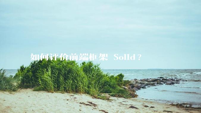 如何评价前端框架 Solid?