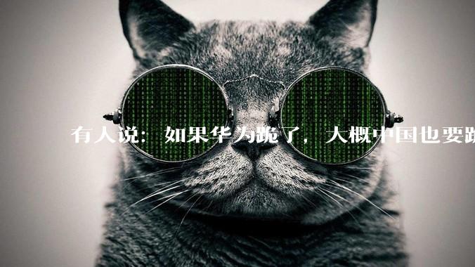 有人说：如果华为跪了，大概中国也要跪了。你怎么看？