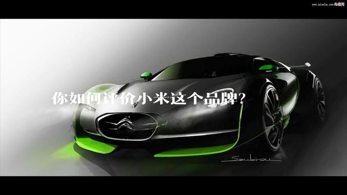 你如何评价小米这个品牌？