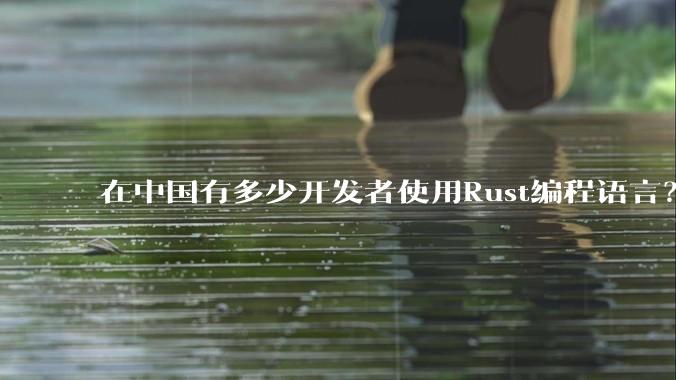在中国有多少开发者使用Rust编程语言？